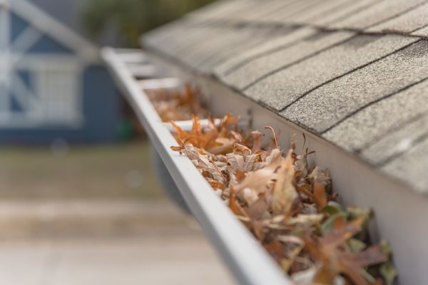 Leaf Barrier Installation in Zebulon